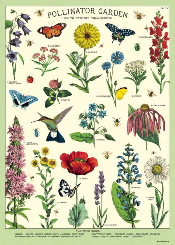 Pollinator Garden Poster by Cavallini